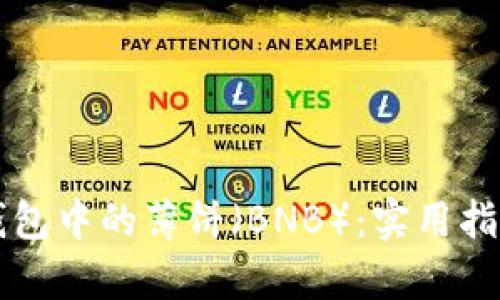 如何使用TP钱包中的薄饼（BNB）：实用指南与热点解析