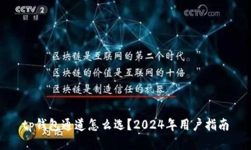 tp钱包通道怎么选？2024年用户指南