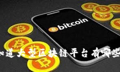 你知道大型区块链平台有哪些吗？