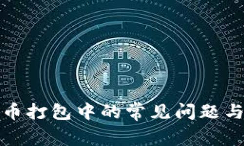 TP钱包转币打包中的常见问题与解决方案