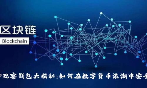 2023年TP观察钱包大揭秘：如何在数字货币浪潮中安全持有资产