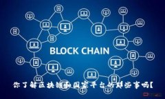 你了解区块链和国家平台