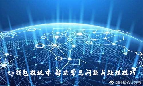 tp钱包提现中：解决常见问题与处理技巧