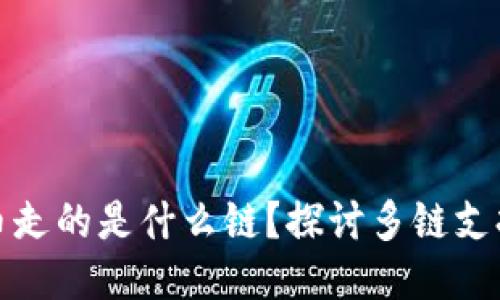 TP钱包提币走的是什么链？探讨多链支持与安全性