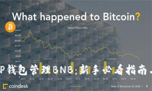 如何使用TP钱包管理BNB：新手必看指南与实践经验