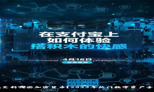 TP钱包支持哪些加密货币？2023年热门数字资产全面解析