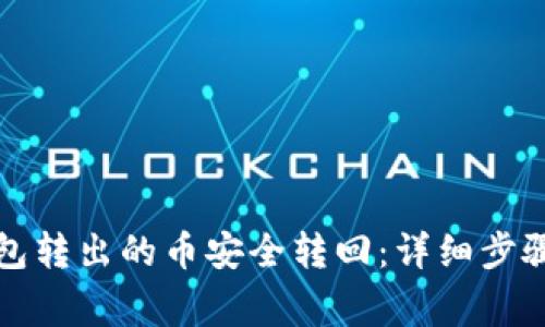 如何将TP钱包转出的币安全转回：详细步骤与注意事项