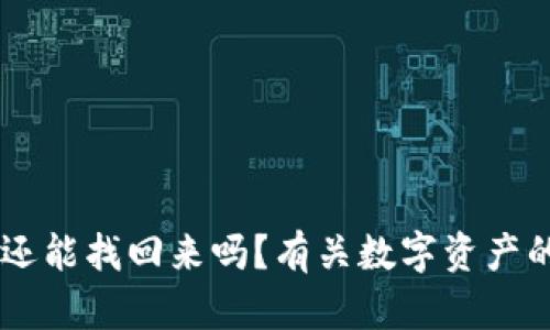 手机掉了TP钱包还能找回来吗？有关数字资产的安全与恢复指南