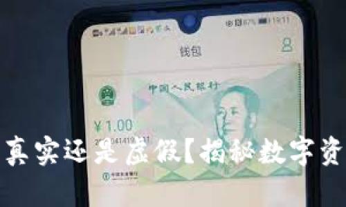 TP钱包价格是真实还是虚假？揭秘数字资产背后的秘密