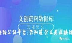 全国区块链公证平台：你