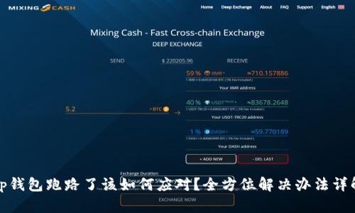tp钱包跑路了该如何应对？全方位解决办法详解