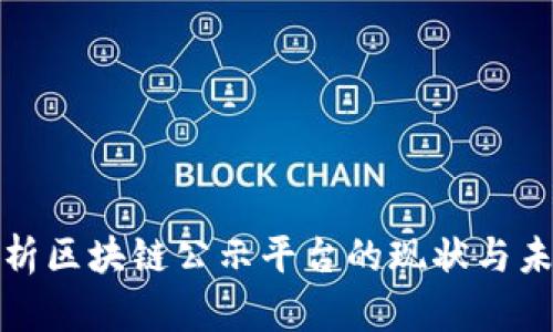 全面解析区块链公示平台的现状与未来发展