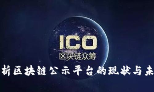 全面解析区块链公示平台的现状与未来发展