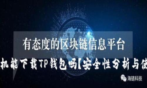 苹果手机能下载TP钱包吗？安全性分析与使用指南