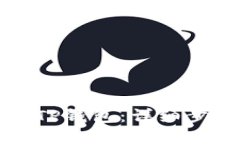 如何创建TP钱包：详细步骤与指南