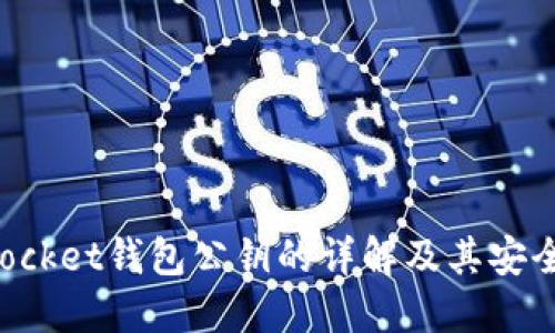 TokenPocket钱包公钥的详解及其安全性探讨