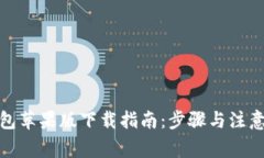 tp钱包苹果版下载指南：步骤与注意事项