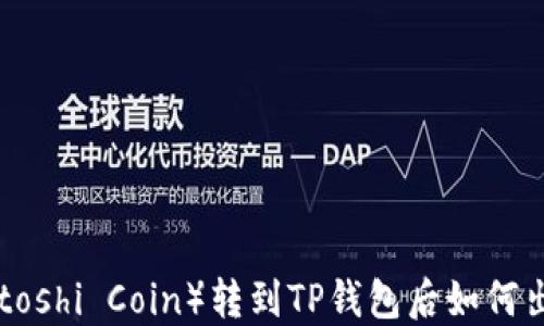 中本聪币(Satoshi Coin)转到TP钱包后如何出售?详尽指南