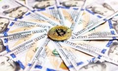 如何在TP钱包上购买TPT代币：详细的步骤与指导