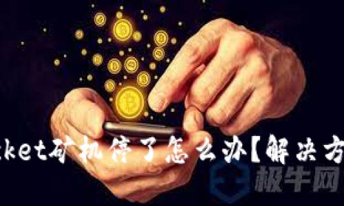 TokenPocket矿机停了怎么办？解决方案和建议