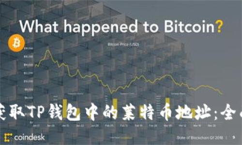 如何获取TP钱包中的莱特币地址：全面指南